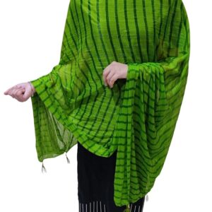 Women's Poly Chiffon Striped Dupatta